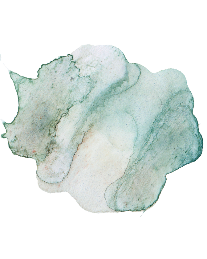 Equine-Assisted Psychotherapy